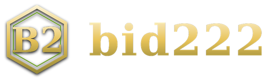 bid222 logo